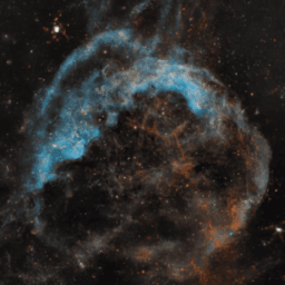 Berry's profile picture